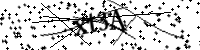 Type de onderstaande letters